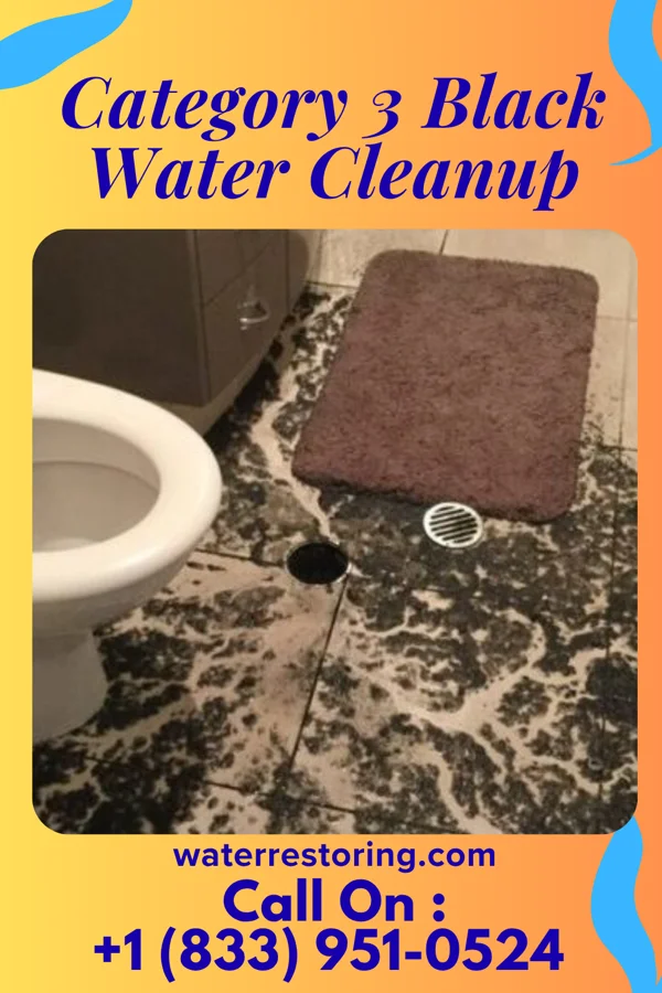 Category 3 Black Water Cleanup in Danville, CA