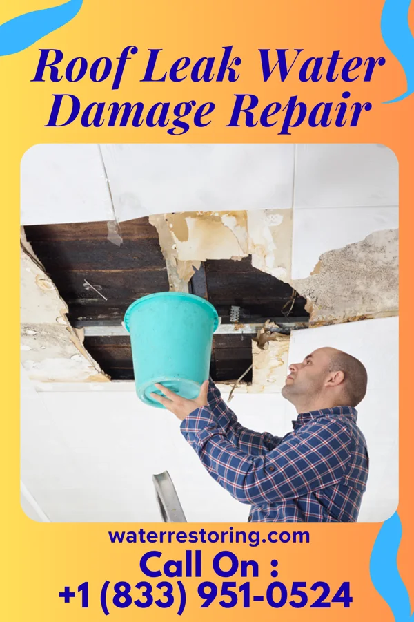 Roof Leak Water Damage Repair in Danville, CA